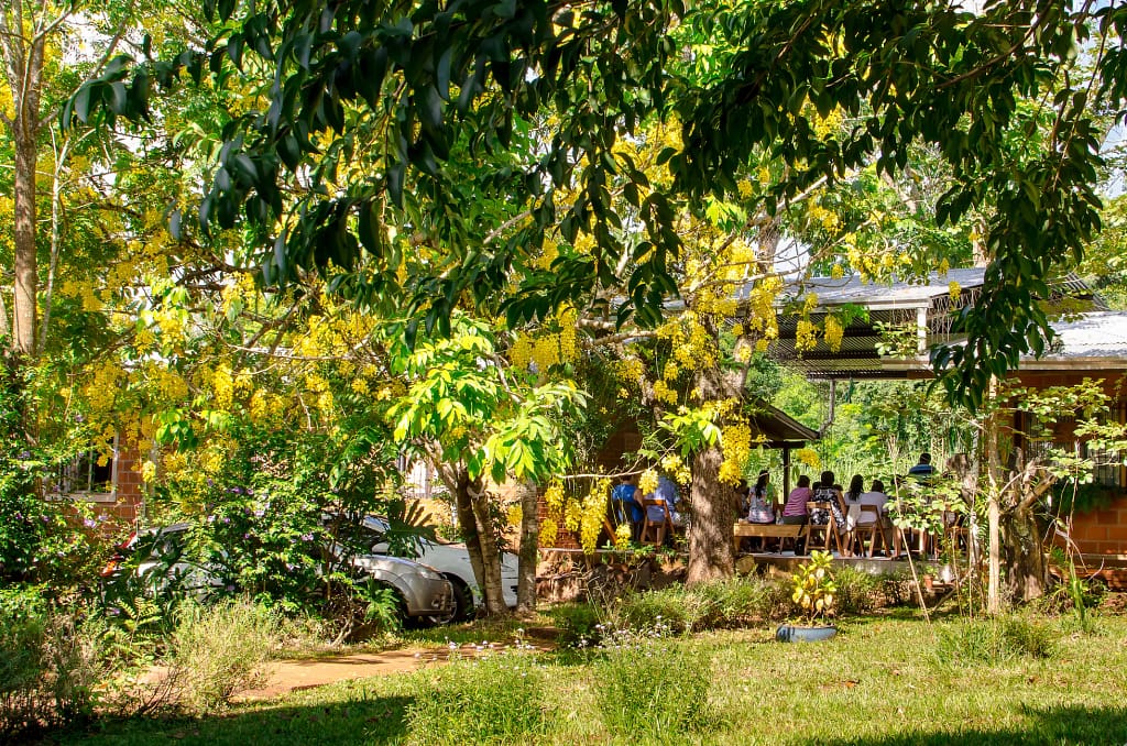 Foto por formulario PxHere-506159 Misiones, Argentina