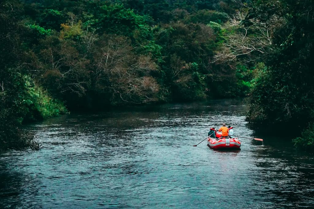 Photo by Jonatan Lewczuk on Unsplash Parque Nacional Iguazú, Misiones, Argentina