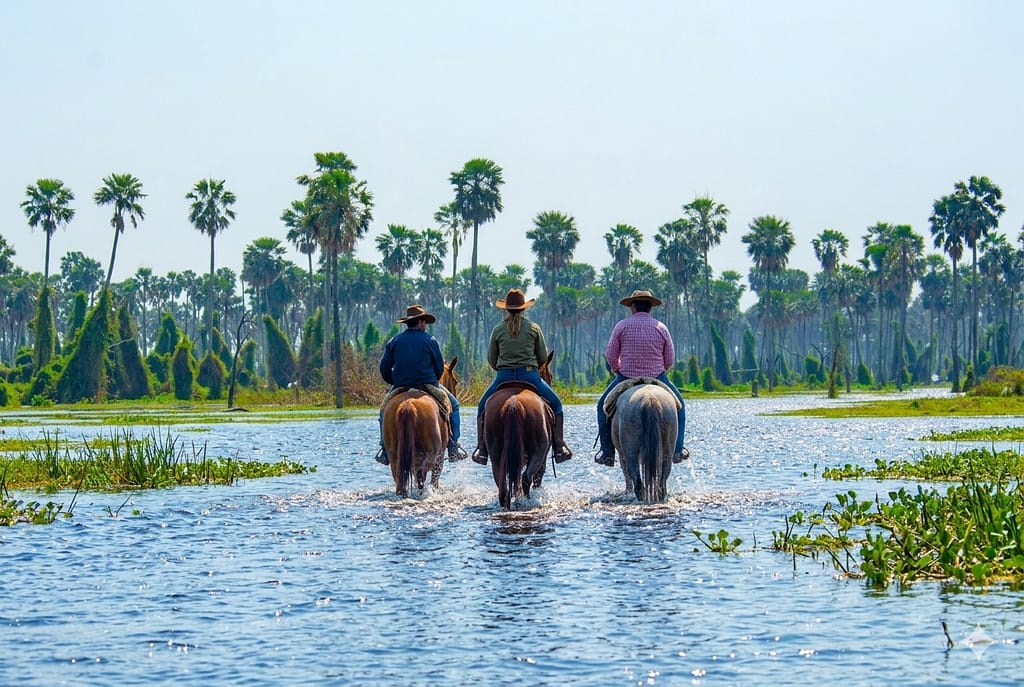 Cabalgatas guiadas en el Bañado La Estrella.
Tres jinetes, incluyendo una mujer, cruzando a caballo las aguas del humedal rodeados de palmeras.