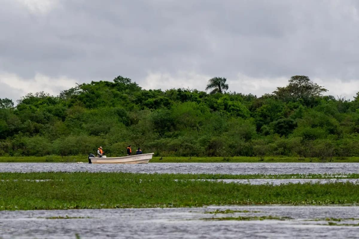 Humedales de Los Esteros del Iberá, Corrientes, Argentina Los Esteros del Iberá, ubicados en Corrientes, Argentina