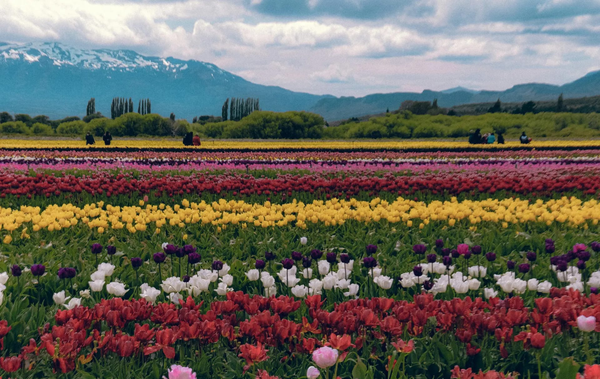 Foto de Micca Ar en Pexels Trevelin, Chubut, Argentina
