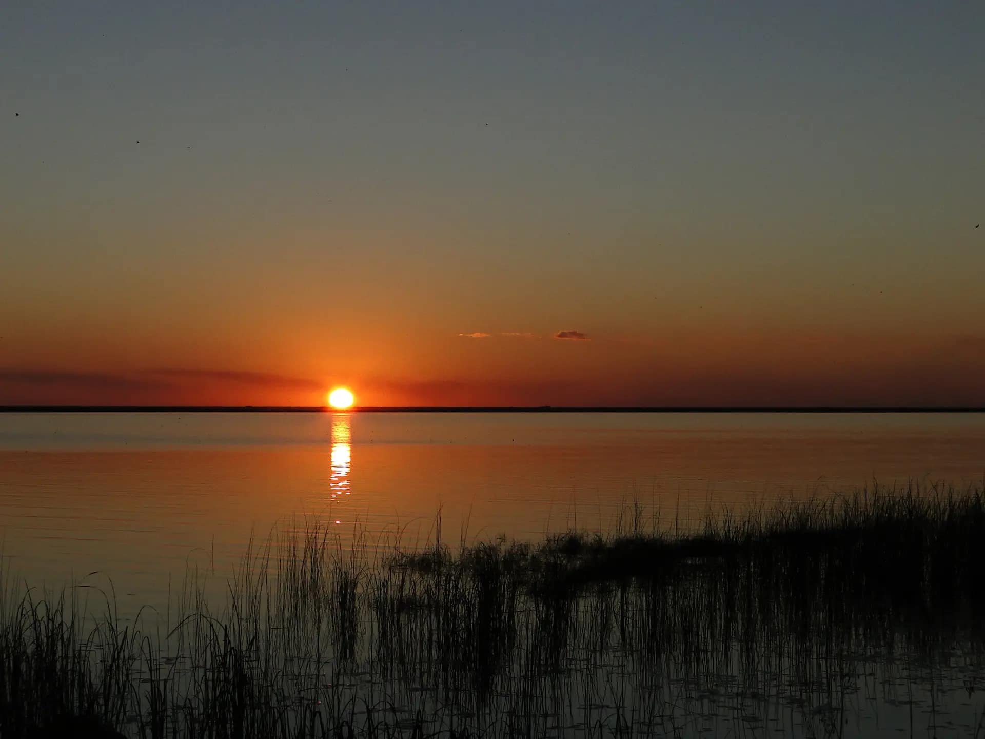 Atardecer en el Estero de Iberá, Corrientes, Argentina. Foto de Elvis Boaventura, CC BY 3.0, via Wikimedia Commons